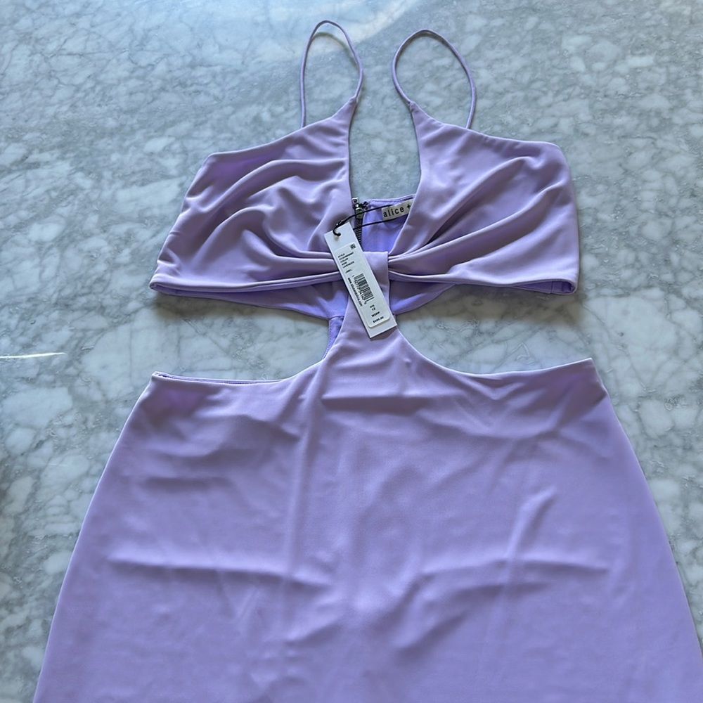 Beautiful Alice and Olivia dress